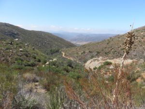 Looking back at the trail already hiked