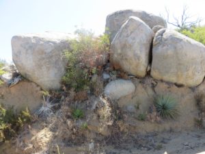 Up close to some smaller boulders