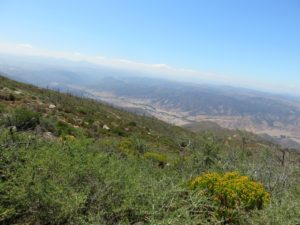 View to the West from the summit