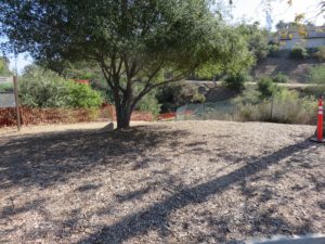 Trailhead at Brengle Terrace Park