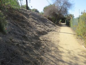 Skirting along Vale Terrace Drive