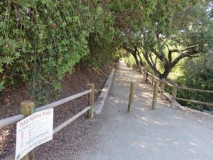 Entering the woodland area along the creek