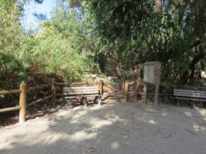 Benches and additional access to the trail