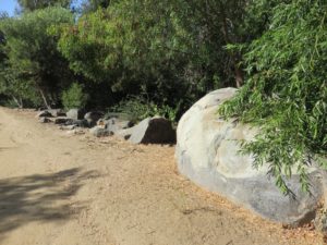 Some rocks, including one with painted over graffiti