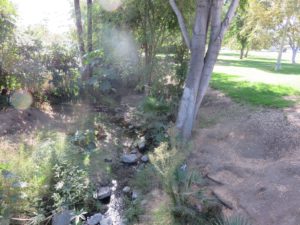 View of the creek from the bridge