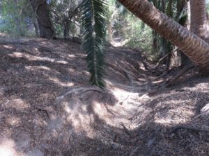 Dry portion of the creek under one bridge