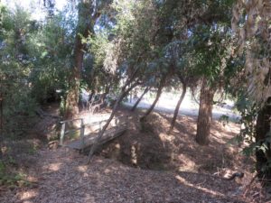 One of the bridges supplying additional access to the trail