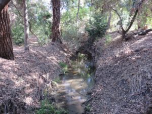 View of the creek, rather stale at this portion, from atop another bridge