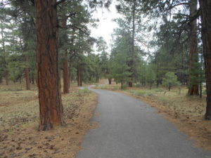 Walking on the Greenway through the Forest the day before the hike