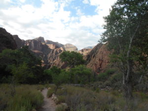 Looking back the way I had come from Phantom Ranch