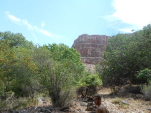 Another view at Indian Gardens, looking up.