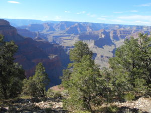 View for "Lunch" At Hermit's Rest