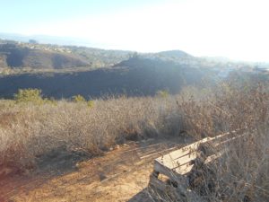 Nice bench headed up the East Rim Trail