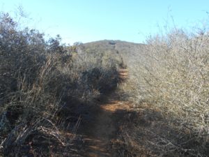 Walking along the East Rim, plenty of shade this time of day