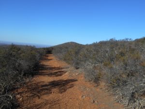 The east rim does provide its own diversity