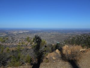 Nice view of the ocean from the summit