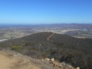 Looking at the trails that lay ahead from the summit