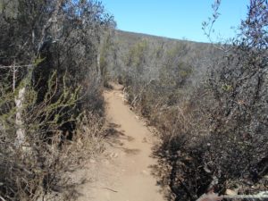 Starting walking down the Miner's Loop Trail