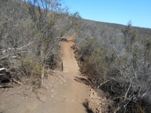 Bridge that amused me on the Miner's Loop trail