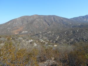 View into the canyon and up Rodriguez Mountain at the start