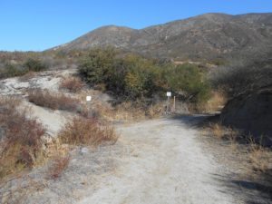 The First Fork in the trail