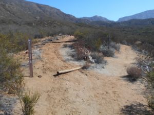 Up Rodriguez Mt or across the Horse Thief Trail?