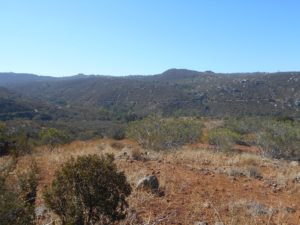 One View Along the Horse Thief Trail