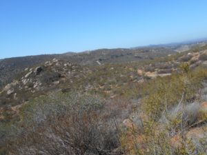 Another View along the Horse Thief Trail