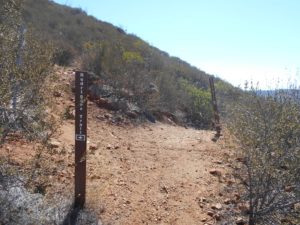 Convergence of the Paradise Trail, Rodriguez Peak Trail, and Canyon View Trail