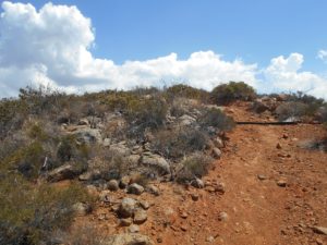 Further up the Paradise Trail!