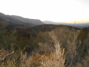 Looking ahead at the top of the switchbacks as the sunrise began