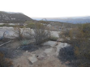 Scenery opening as the vegetation changed to coastal sage scrub