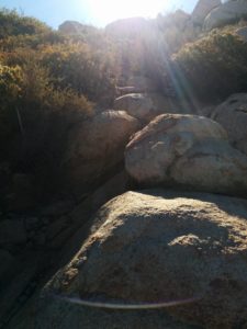 Looking at some small boulders to scramble over on the way up