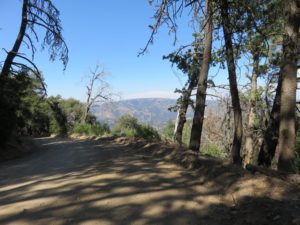 View along dirt road in Los Padres National Forest