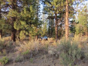 Boondocking Just South of Lava Beds