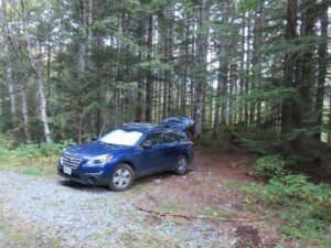 Car camped out in forest