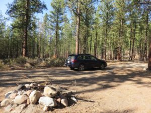 Car camping in a forest, with a firepit in front