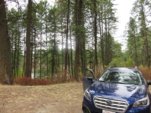 Car camped around trees and a lake