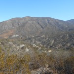 View into the canyon and up Rodriguez Mountain at the start
