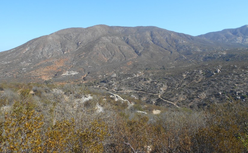 View into the canyon and up Rodriguez Mountain at the start