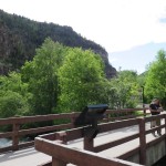 My parents enjoying themselves on the bridge over Grizzly Creek in Glenwood Canyon