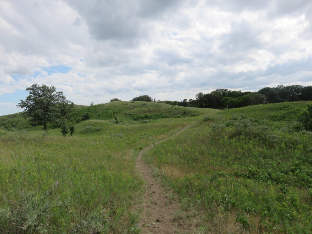 Hiking the Hankinson Hills Trail – Subaru Vagabond